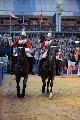 Cavalry - 00184